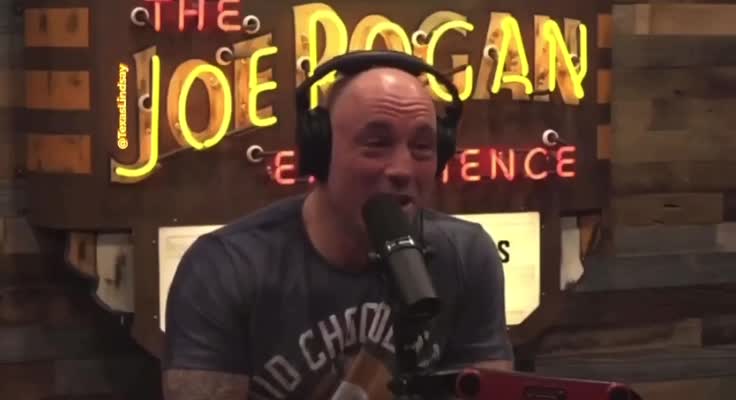 Joe Rogan: "Vote Republican" 🔥🔥🔥