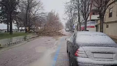 Pogradec Peme