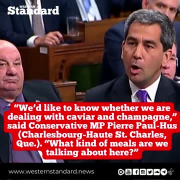 MPs question governor general's $218 breakfasts on flight