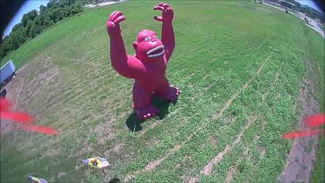 Kong