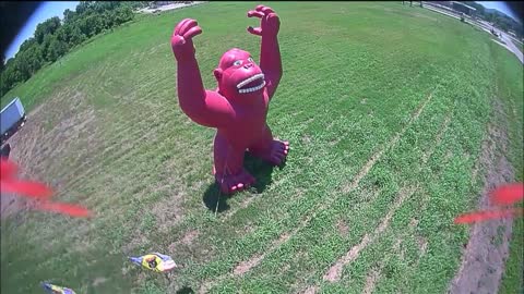 Kong