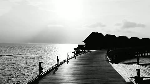 Walking the pier