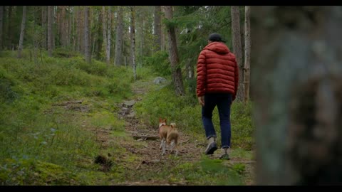 Man and pet dog have fun on forest hike, run between trees on trail or path