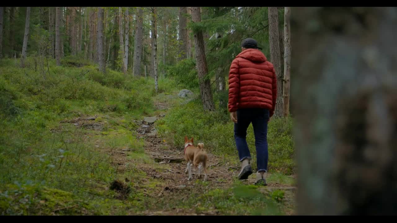 Man and pet dog have fun on forest hike, run between trees on trail or path