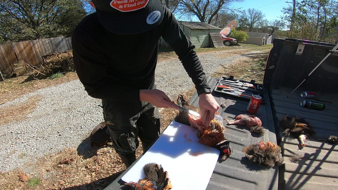 How To Clean Pheasant