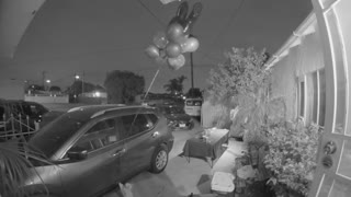 Rambunctious Kitty Releases Birthday Balloons