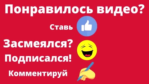 Funny videos