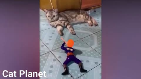 Funny Cats Video Compilation 2021.cute cats