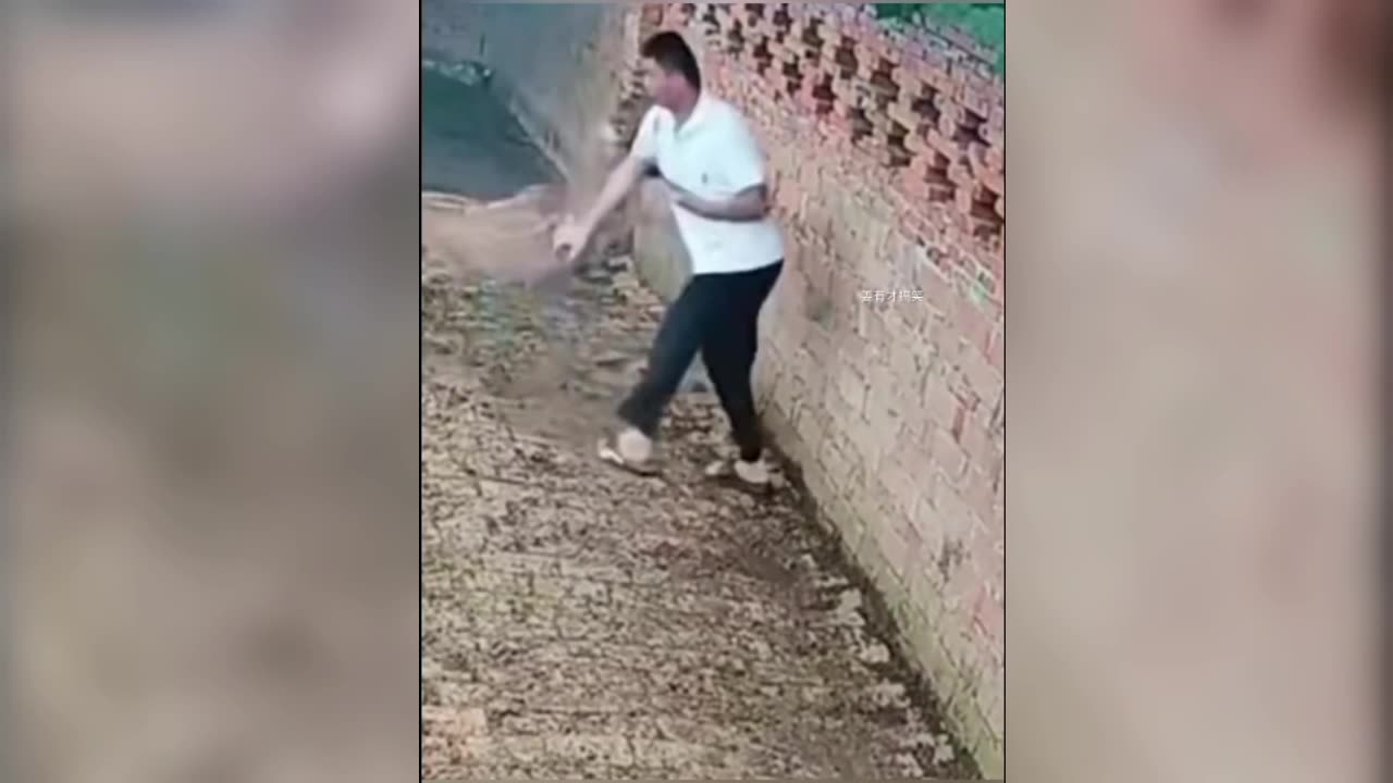 Very funny video 📸 📷