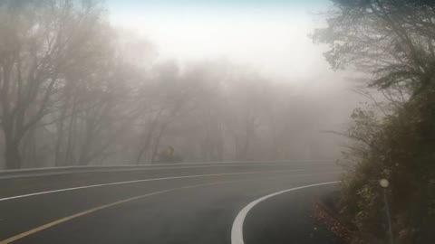 Foggy road driving in Jeju Island