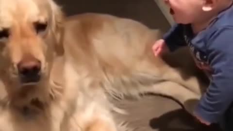 funniest cute baby funny moments with cute puppy dog - shorts ( 1080 X 608 )