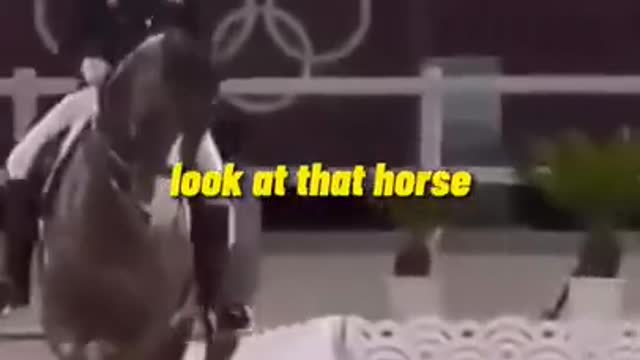 Snoop dogg reacts to cripwalking horse😂😂