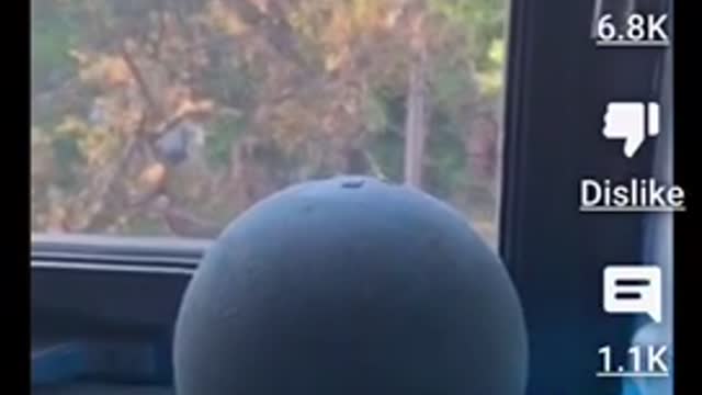 Alexa: What are the safe zones