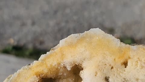 Flock it Farm: cutting geodes, agates, fossils part 3