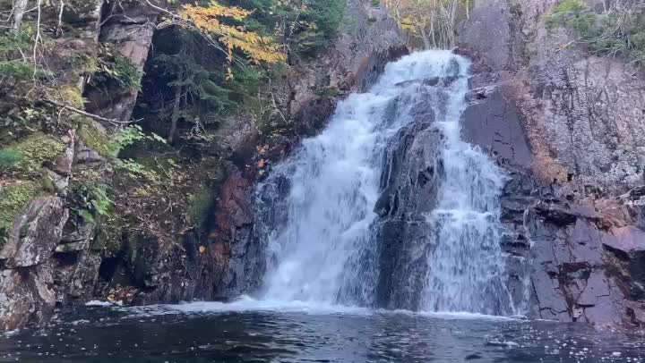 Relaxing waterfall in the woods 🇨🇦 1 hour loop 🧘‍♀️