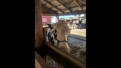 7-19-2018 - Lycoming County Fair With Mike, Dad & Janessa