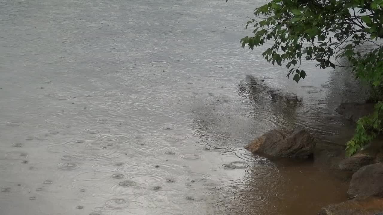 Enjoy the Sights and Sounds from rainy day at Lake Cooley Inman, SC