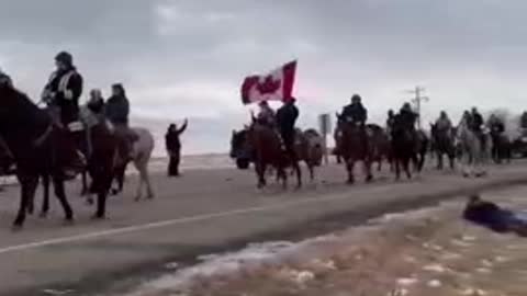 Americans join Canadians