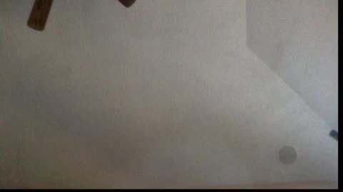 Live Stream Video #2