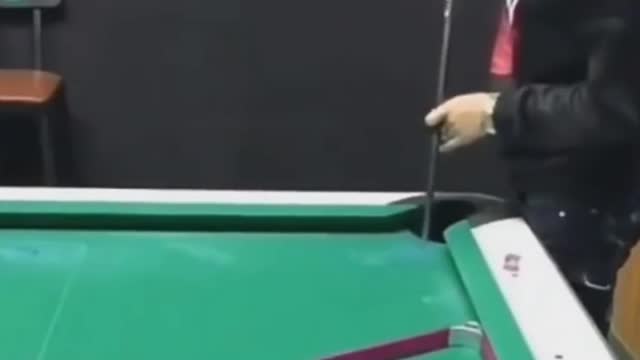 cat plays billiards