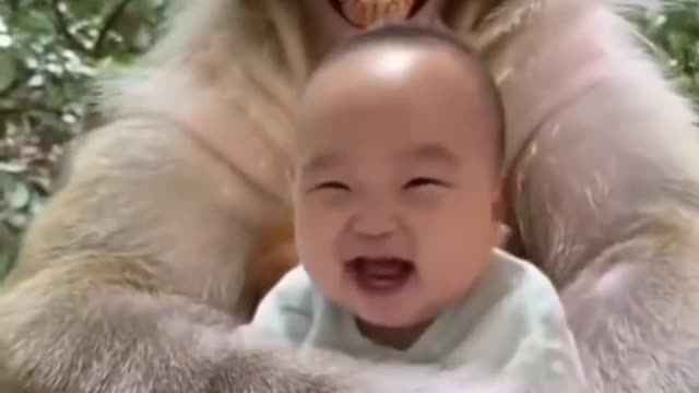 funny baby laughing