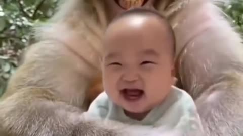 funny baby laughing