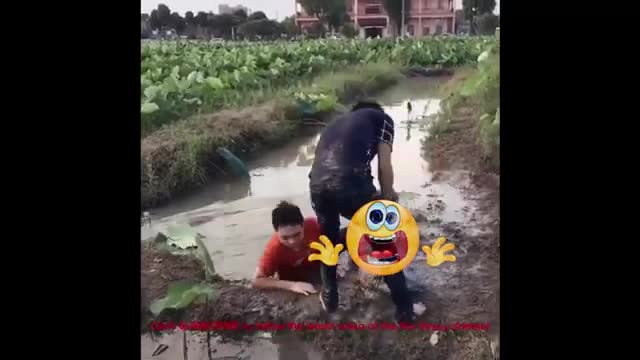 Video funny