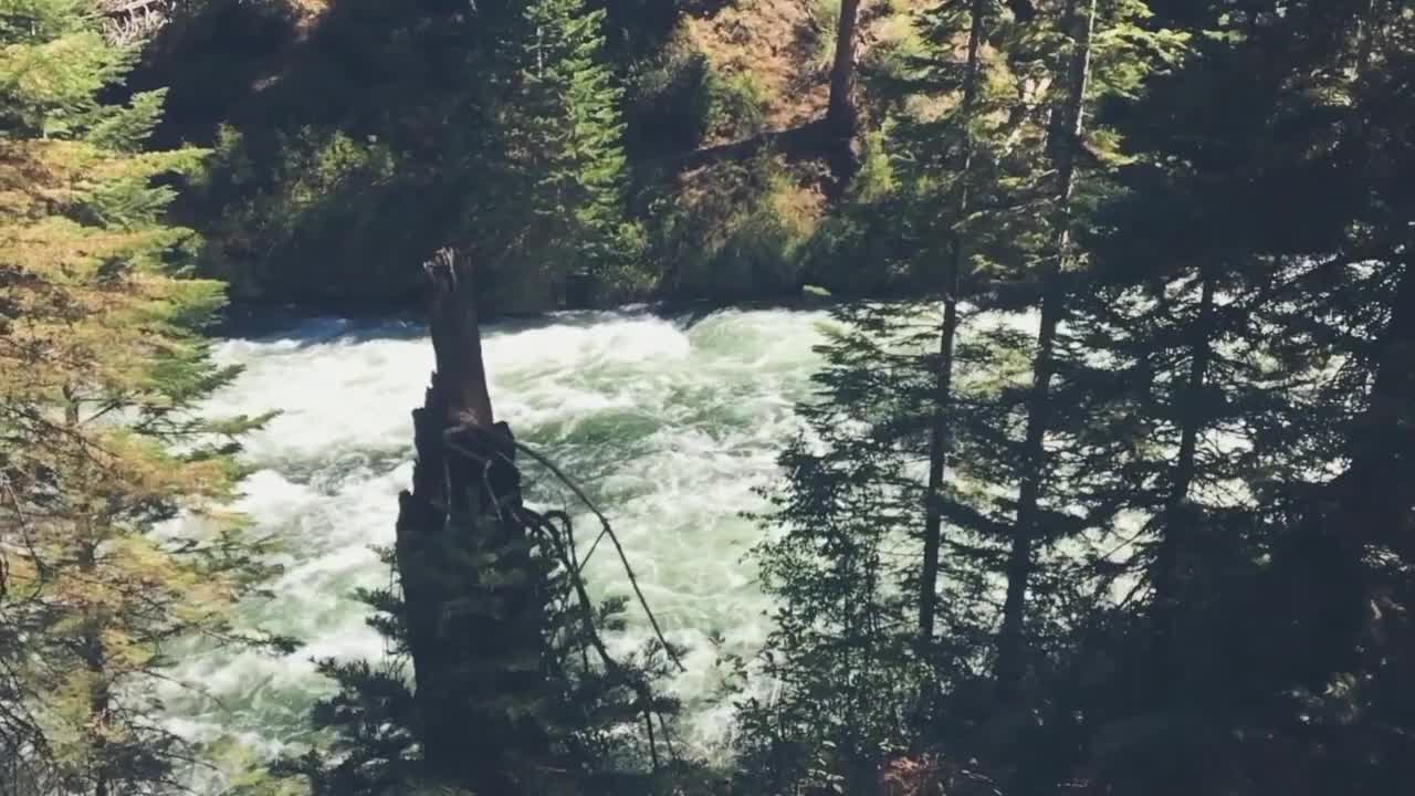 Relaxing Music | Sleeping, Meditation, Stress Relief | [348] ⭐️