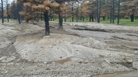 Arroyo flooding 8-13-22