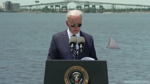 il Donaldo Trumpo - Shark Bait Biden 🤣🤣🤣