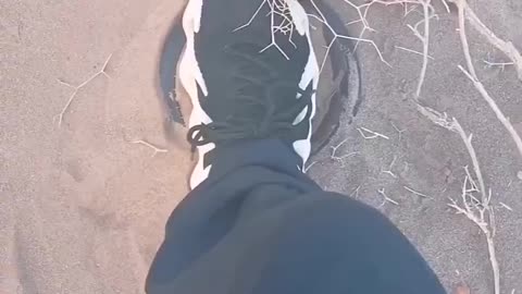 Man Purposely Steps On Land Mind