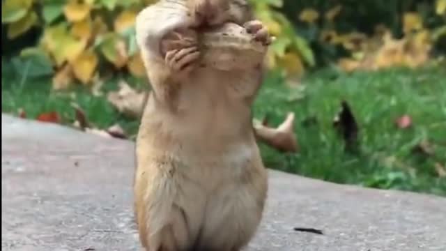 Oh my, it doesn't fit in my little mouth