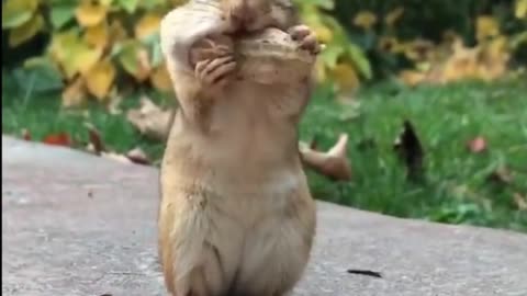 Oh my, it doesn't fit in my little mouth