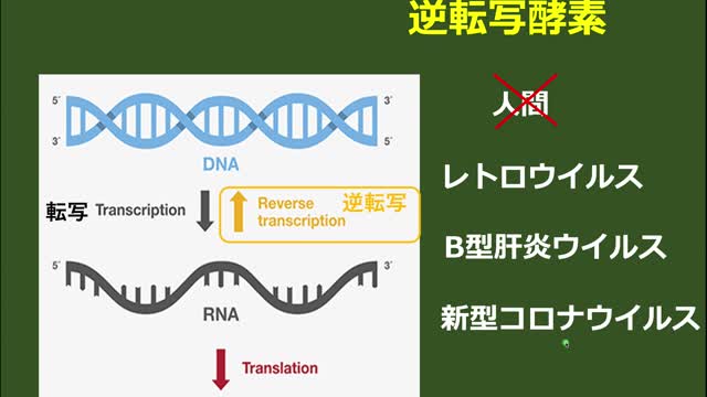 Corona、 vaccination