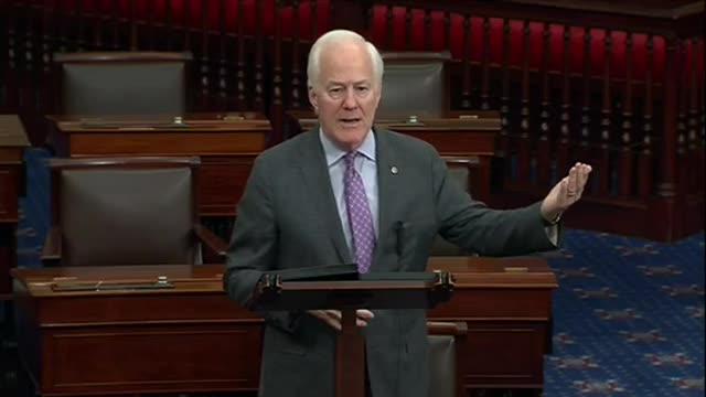 'Repeatedly Projected A Lack Of Decisiveness And Weakness': Cornyn Rips Biden On Foreign Policy