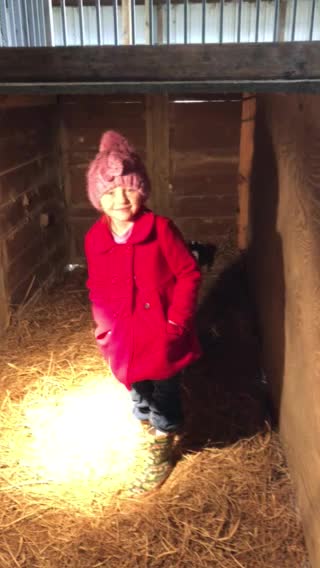 Meet the brand new babies 🐐