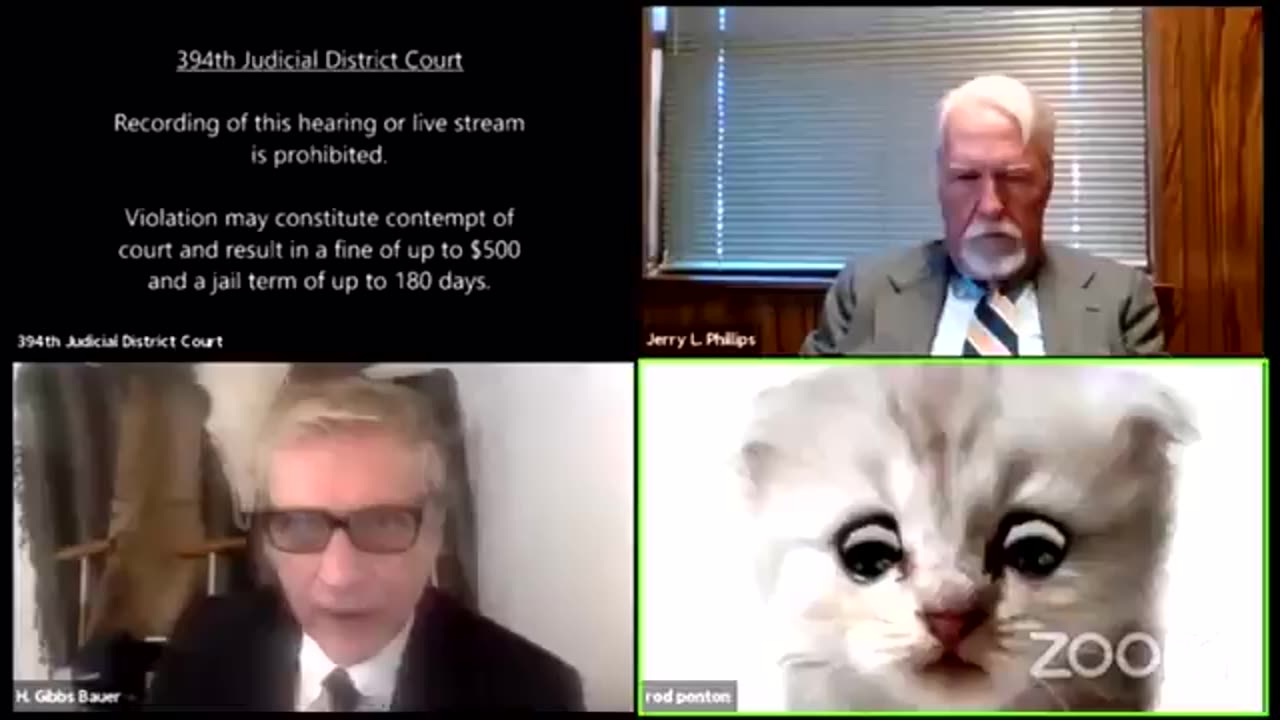 2020 classic "I am not a cat" a lawyer doesn't know how to turn off filter with judge