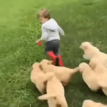 Overwhelmed by the crowd:Завалили толпой