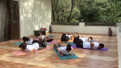 Group- Yoga- Performance