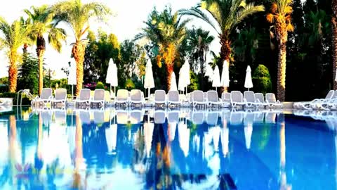 Relaxing Music | Sleeping, Meditation, Stress Relief | [5981] ⭐️