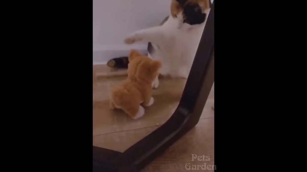 Cat scared of automatic plush kitten kkk