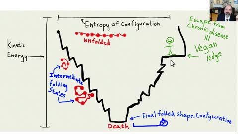 Chronic disease is like a protein folding probability funnel