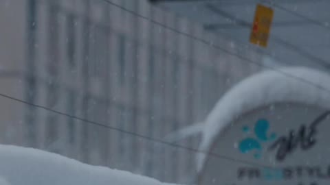 2022 snow