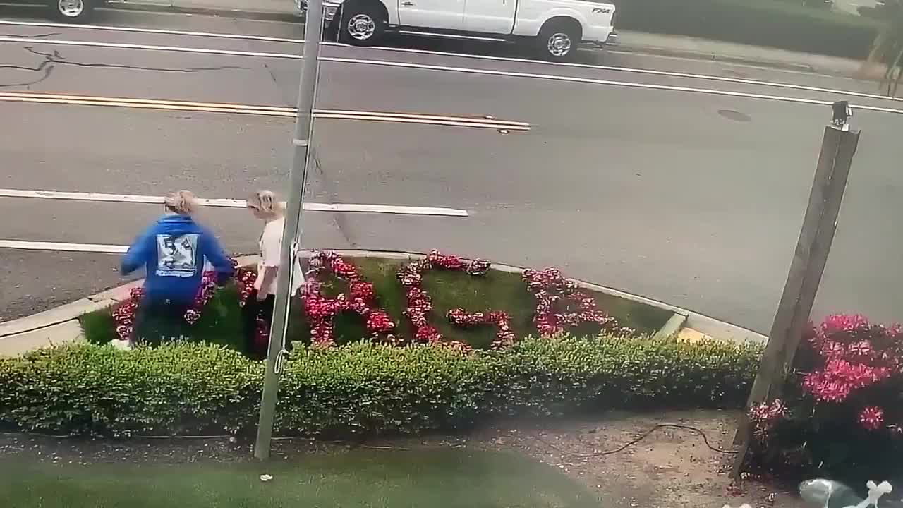 Girls Stomp On MAGA Flowers And Get Arrested Shortly After