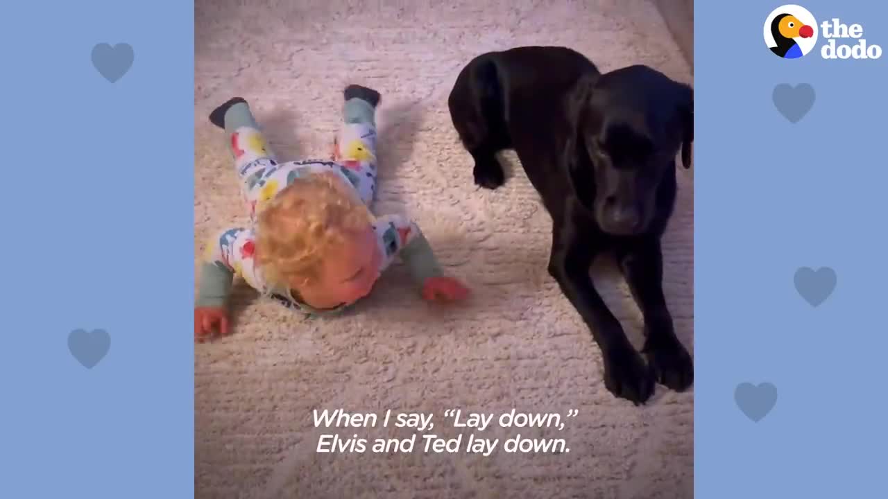 Dog Teaches His Little Human How To Be A Puppy | The Dodo Soulmates