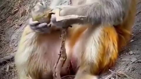 Crazy Video Compilation 3😮🙄👀