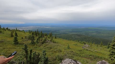 Murphy Dome - Minto Flats