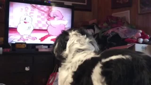 Cartoon Loving Dog