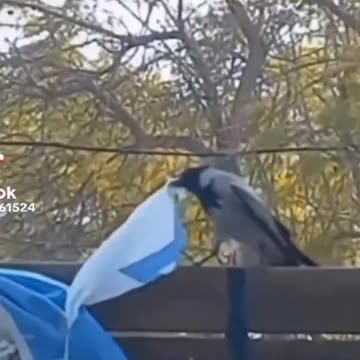 Even the animals & nature are resisting the terrorist nation!