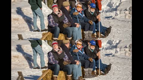 John Beargrease Sleddog Marathon